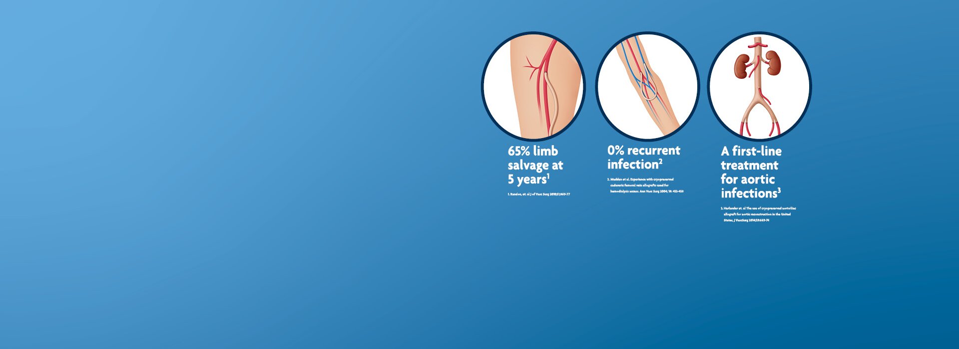 AngioGraft Solutions